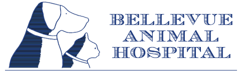 Bellevue Animal Hospital